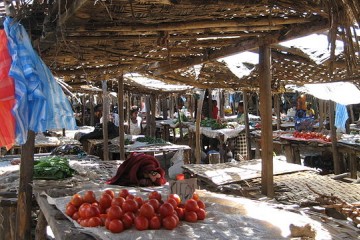 Zambia