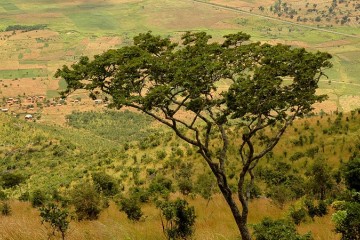 Malawi