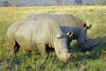 South Africa