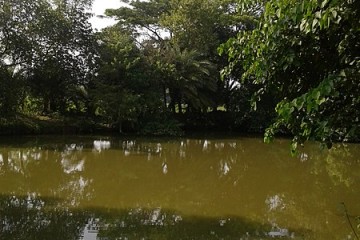 Bangladesh