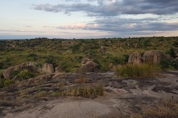 Zambia