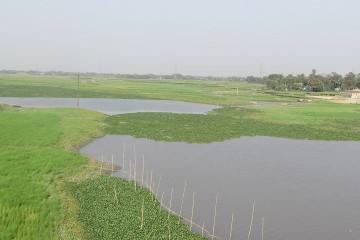 Bangladesh