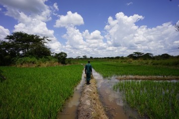 Uganda