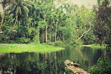 Bangladesh