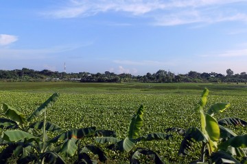 Bangladesh