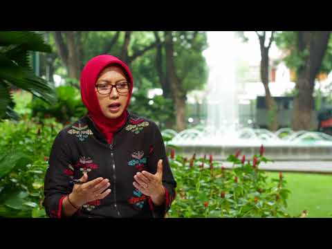 SFD: The Indonesian Case